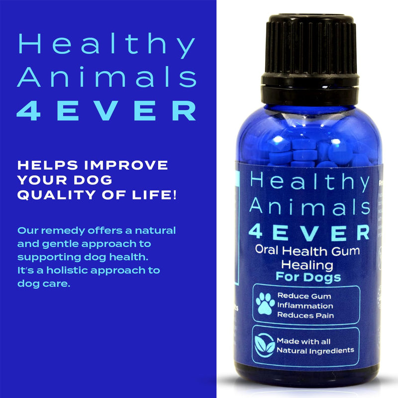 Healthy Animals 4 Ever Oral Health Gum Healing for Dogs - Relieves Inflammation, Soothes Pain, Fights Gum Disease - Natural, Non-GMO, Organic - Gluten, Preservative & Chemical Free Supplement - 300 ct - PawsPlanet Australia