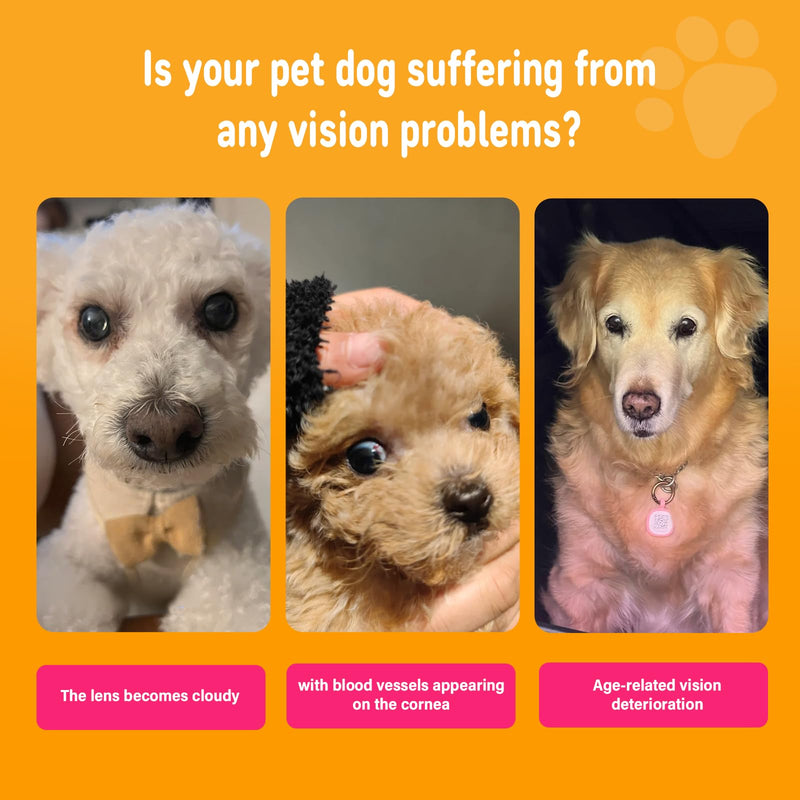 Eye Supplements for Dogs - Vision Support Soft Chews with Lutein, DHA & Vitamin C | 120ct Salmon Flavor Tear Stain Chews | Cataract & Dry Eye Relief Supplement (120 Ct, Salmon) 120 Ct