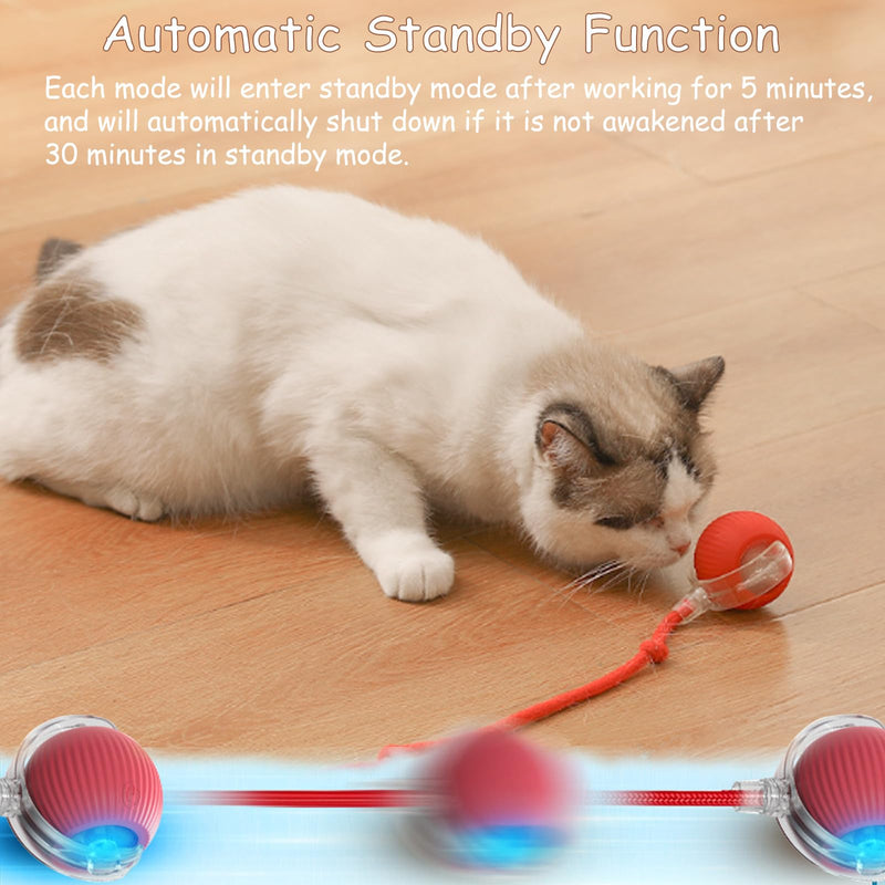 Interactive Cat Toys Balls, Interactive Rolling Dog Ball, Cat Toys Ball for Indoor Cats with Long Tail Fast Rolling on Carpet, Smart Automatic Rolling Pet Ball for Cat and Dog - BeesActive Australia