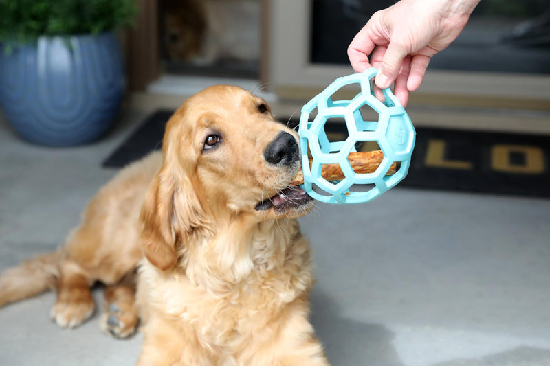 JW Pet HOL-ee Roller™, Dog Toy Puzzle Ball, Natural Rubber, Large (5.5” Inch Diameter), Blue - BeesActive Australia