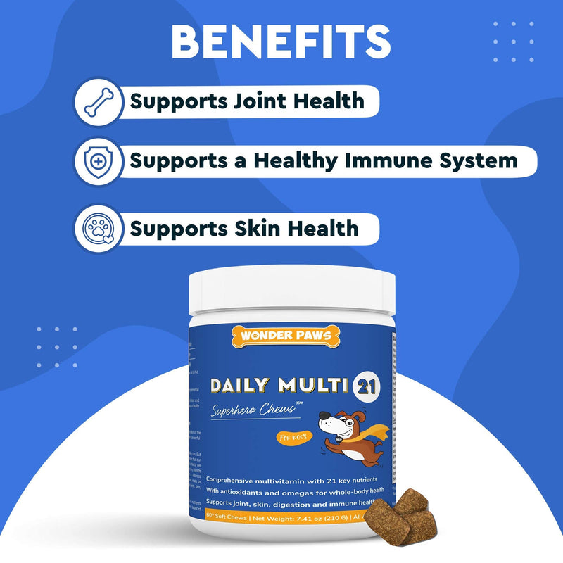 Omega Max Fish Oil Plus Daily Multivitamin Chews - for Dog Joint Health, Skin Moisture, Immune System Support & Daily Wellness - Omega Max 16 Ounces - Multivitamin 60 Chews - PawsPlanet Australia