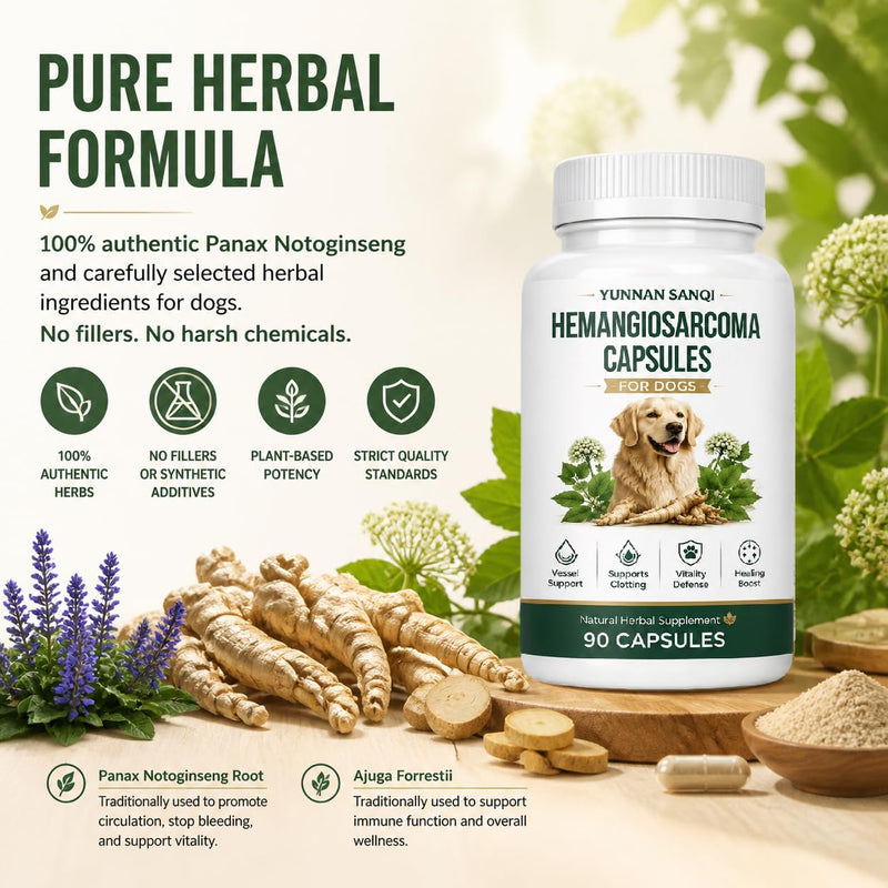 Yunnan Sanqi Capsules for Dogs - Herbal Quick Stop Bleeding & Circulatory Support for Hemangiosarcoma, Hemoabdomen, Pericardial Effusion, Severe Bruising, Ulcer-Related Bleeding, 90 Capsules
