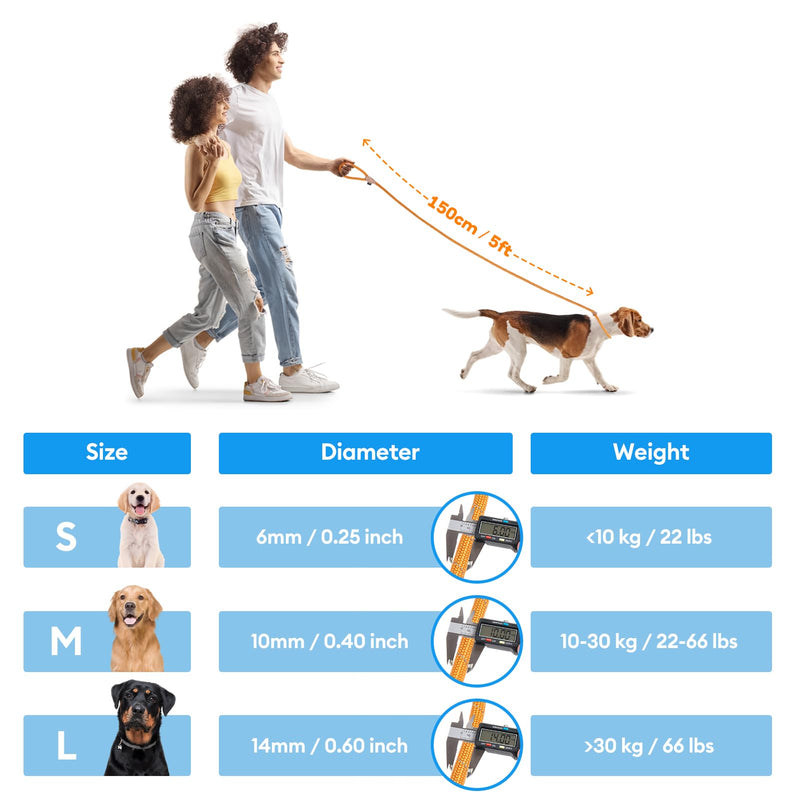 Grand Line Retriever Leash with Pull Stop, 150 cm Moxon Leash Reflective Dog Leash, Safe Durable Training Leash Moxon Leash for Small Medium and Large Dogs - 10mm, Gray-Green 1x150 cm (Pack of 1) - BeesActive Australia