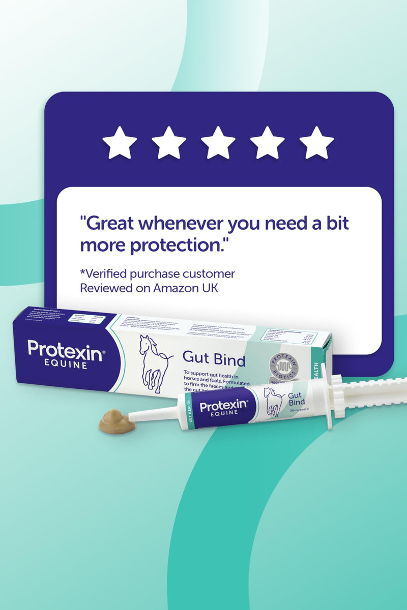 Protexin Equine Gut Bind, 30ml – Advanced Digestive Support for Horses – Promotes Healthy Gut Flora, Fibre Digestion, and Nutrient Absorption Regular