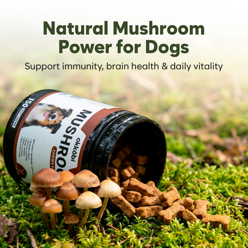 Turkey Tail Mushroom for Dogs - 150 Soft Chews - with Turkey Tail, Lion’s Mane, Chaga, Reishi & Shiitake - Immune Support & Cognitive Health Mushroom Supplement for Dogs