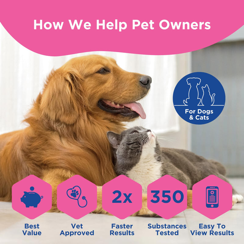 UCARI Pet Sensitivity Test | Screens for 350+ Intolerances | Food & Ingredients Analysis | Painless Home Test Hair Sample Method | Results in 48 Hours | Cats & Dogs Introductory