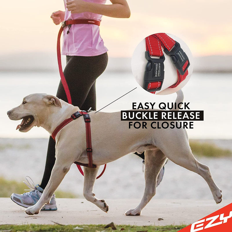 EzyDog Premium Chest Plate Custom Fit Reflective No-Pull Padded Comfort Dog Harness - Perfect for Training, Walking, and Control - Includes Car Restraint Attachment (Large, Blue) Large - BeesActive Australia