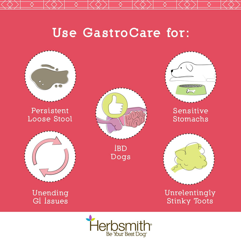 Herbsmith GastroCare - For Cats & Dogs with Sensitive Stomachs - Cat and Dog Digestive Support - Ease Canine and Feline Sensitive Stomach - 75g 75g Powder - BeesActive Australia