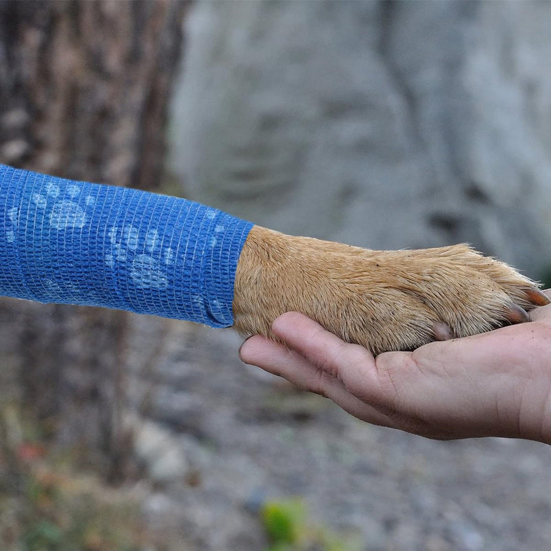 6 Rolls Self-Adhesive Bandage Wrap Non-Woven Vet Wrap Cohesive 2Inchx5yard for Dogs Cats Horse Leg Paw Pet Animals Wounds Wrist Healing Sprains & Swelling 6Rolls 2Inchx5yard Paw Print - BeesActive Australia