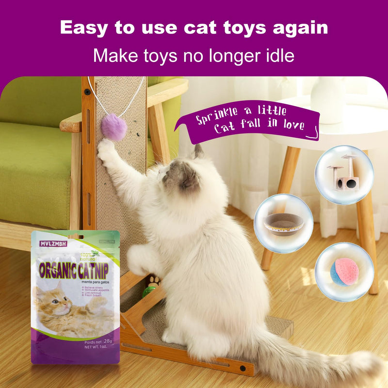 Organic 100% Natural Catnip Cattle Grass Mint Taste Funny Cat Toy New Cat Toy Interactive Cat Toys Pet Supplies - BeesActive Australia