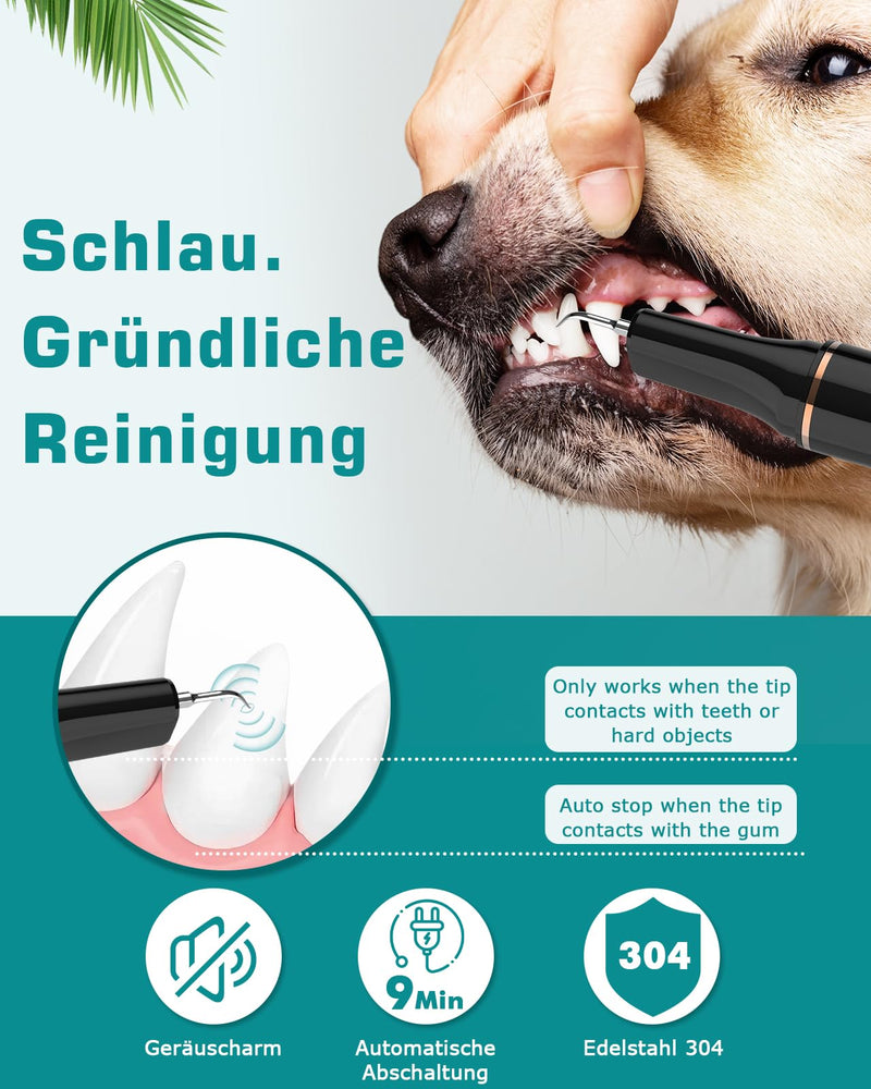 Petbank ultrasonic tooth cleaner for dogs and cats, tooth cleaner for pets, dental care set, teeth cleaning and cleaning set for dogs and cats, 5 cleaning modes, 4 cleaning heads - BeesActive Australia