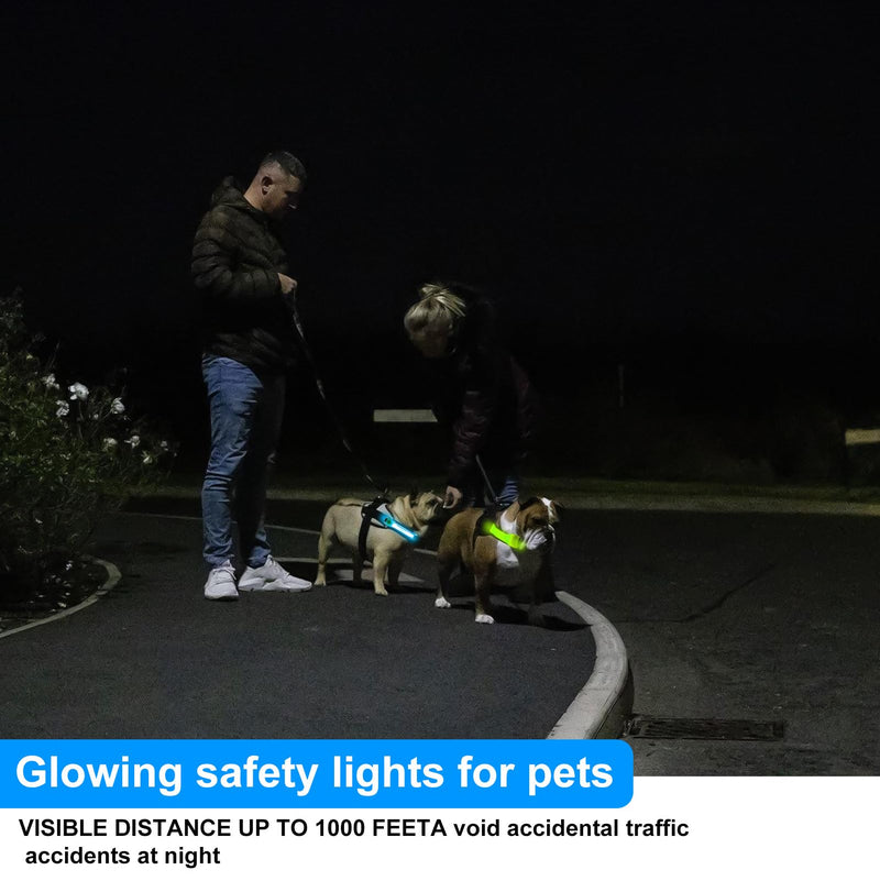 Pack of 2 safety LED light bands for dogs and cats, USB rechargeable safety light collar for dogs, LED light bands for pets with Velcro fastener, easy to attach to collar, leash, harness - BeesActive Australia