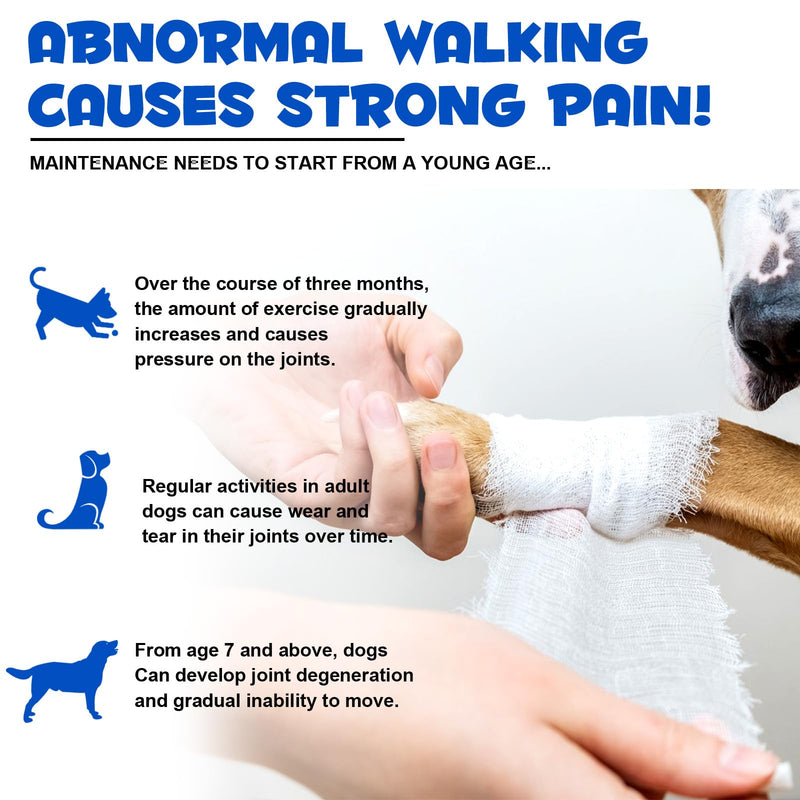Joint Supplements for Dogs Joint Aid for Dogs Dog Joint Supplements for Senior Dogs Improve Mobility & 60ml dog joint 60ml
