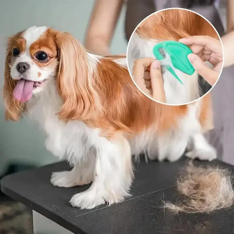 5PCS Pet Knotting Comb + 1PCS Grooming Comb, Pet Hair Grooming Tool for Pets, Knotting Comb for Dog & Cat, Pet Dematting Comb for Dogs and Cats, Attached 760PCS Mini Color Elastic Hair Ties - BeesActive Australia