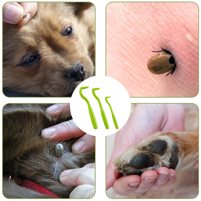 Nepfaivy Tick Tongs for Dogs, Cats, People - Set of 3 Tick Hooks and Tick Removers for Children and Pets, Simple and Safe Tick Lever for Ticks of Any Size Green - BeesActive Australia