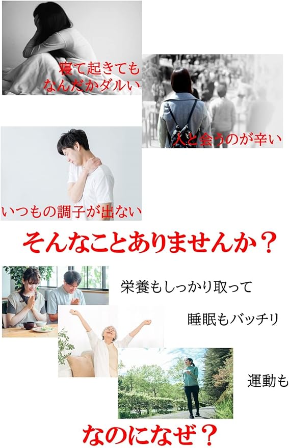 Easy-to-use powder 170g citric acid supplement [Instruction included] TRAUM (Set of 5 bags) - BeesActive Australia