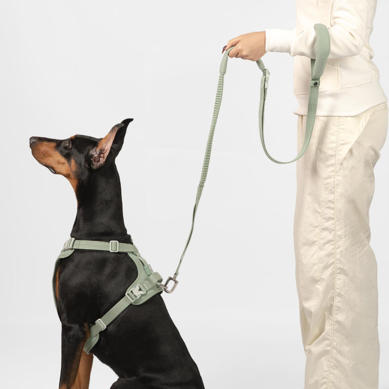 Hands Free Dog Leash Adjustable Versatile Crossbody Waist Dog Leash Reflective Comfortable Padded Handles Shock Absorbing Walking Lead for Small Medium Large Dogs (Super Reflect-Black, S) Super Reflect-Black