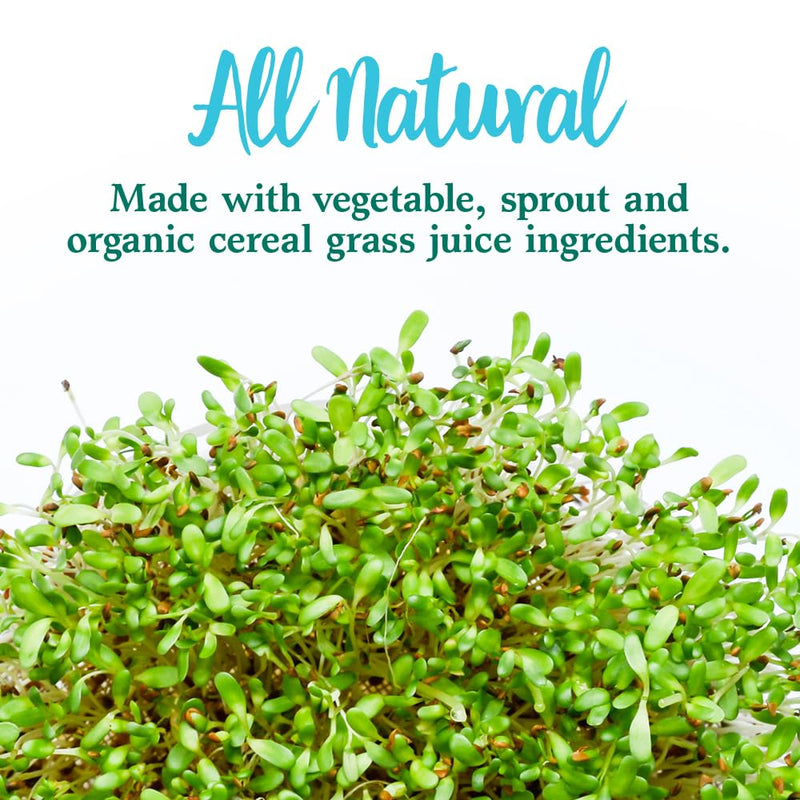 Garden of Life Perfect Food Original Super Green Formula, 14 Servings | Plant Based Superfood Powder with Probiotics, Enzymes and Greens Concentrates for Immune Support and Digestive Support 4.94 Ounce (Pack of 1)