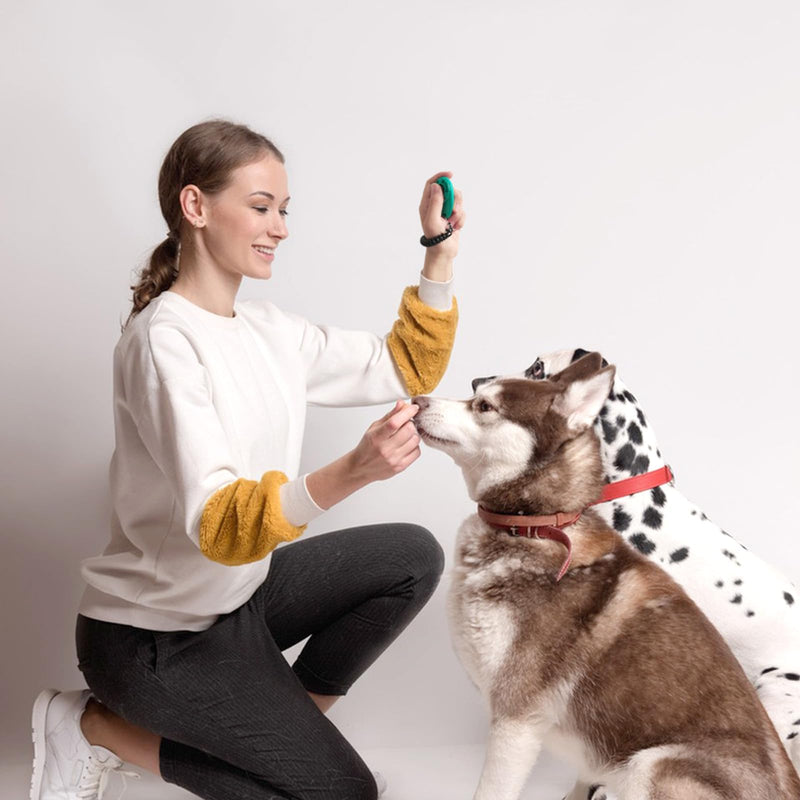 2pcs Dog Training Clickers with Wrist Strap and Clasp, Lightweight Durable Pet Trainer Clear Sound Pup Training Clicker for Dog Puppy Cat, Gift for Pet Lovers (Black + Green) - BeesActive Australia