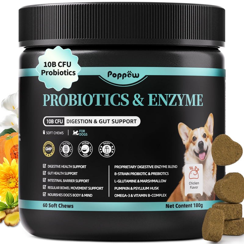 Probiotics for Dogs, Digestive Enzymes & Pumpkin Fiber for Gut Health and Bowel Support, Dog Supplement for Gas Relief & Constipation, 10B CFU with 5 Prebiotics & 5 Enzymes, 90 Count Chicken Flavor 90 Count (Pack of 1)