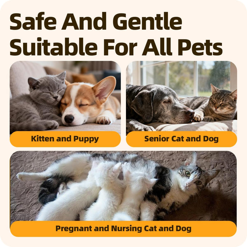 Nasal & Eye Drops for Immune Support, Sneezing, Cold, Allergy Relief, Runny Nose, Feline Respiratory Treatment and Watery Eyes for Cats and Dogs 0.33 Fl Oz (1 Bottle) 1 Bottle