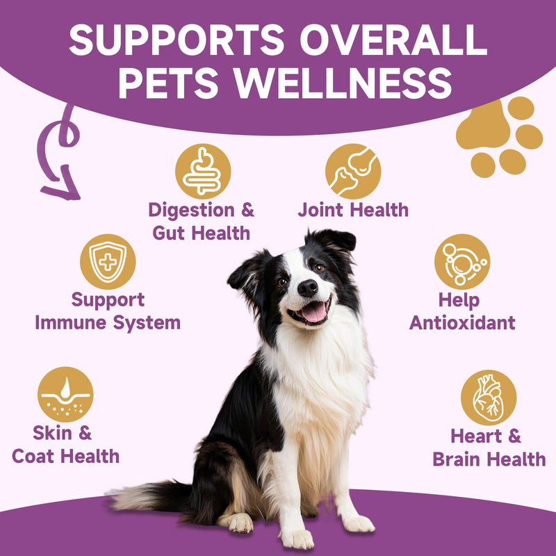 Taurine Drops for Cats - Supports Heart, Vision, Energy & Vitality, Immune System Health, Mushroom for Dogs & Cats, Support Immune System, Digestion, Skin & Coat,
