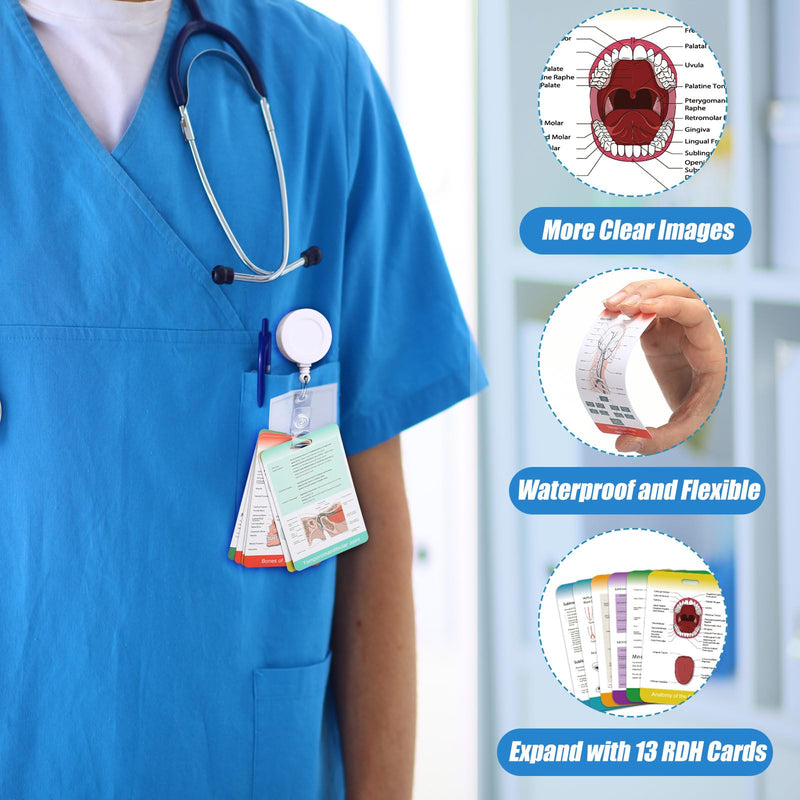 13 Pieces Dental Hygiene Reference Study Cards