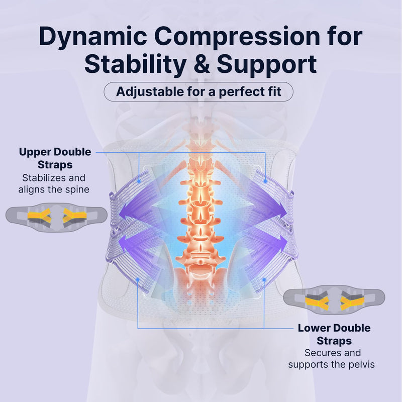 Fit Geno Back Brace for Lower Back Pain Women: Adjustable Lumbar Support Brace for Pain Relief - Breathable Waist Belt for Comfort - L Purple L (Waist: 38 - 46 Inch) - BeesActive Australia