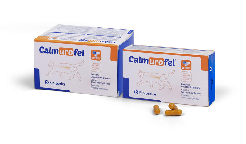 Bioiberica CALMUROFEL CAT 120 CAP dietary supplement capsules - BeesActive Australia
