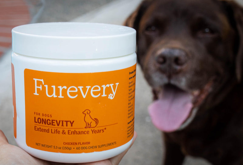 Anti-Aging Chewable Supplement for Dogs with Curcumin, Taurine, Trans-Resveratrol – Science-Backed Ingredients for Dogs to Support Aging, Wellness and Vitality - PawsPlanet Australia
