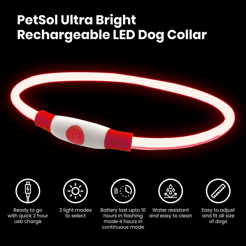 PetSol LED Dog Collar in Red - USB Rechargeable Safety Collar with Flashing Light for Dogs, Cats and Puppies - Size S, M and L - Fashionable Glow in the Dark Design - BeesActive Australia