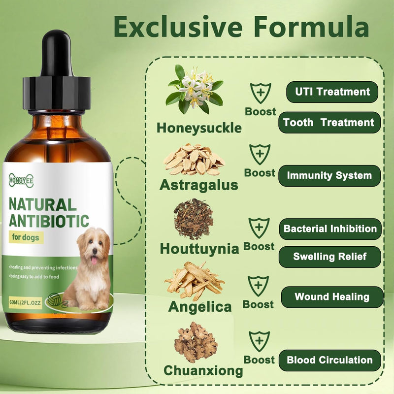 Dog Antibiotics for Infections, Cough, & Itching | Natural Antibiotics for Dogs for All Ages to Promote Wound Healing | Dog UTI Treatment and Tooth Infection Treatment | Chicken Flavor | 2 Oz