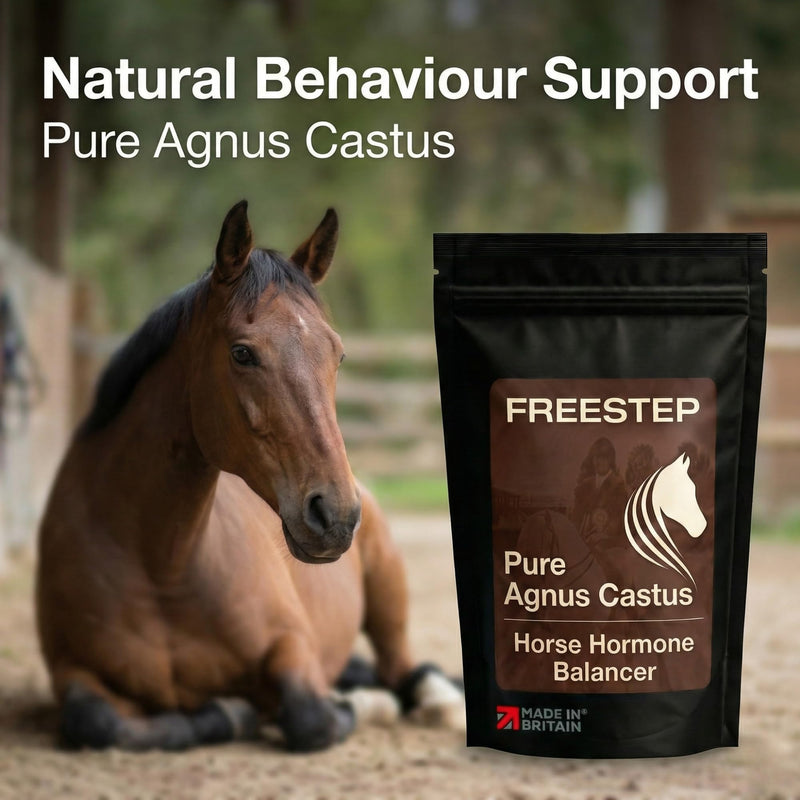 Pure Agnus Castus | Natural Mare Calming and Hormonal Support for Horses | Pure Vitex Chasteberry Powder for Behaviour Balance and Moody Mares | Horse Temperament 500g | 4 Month Supply