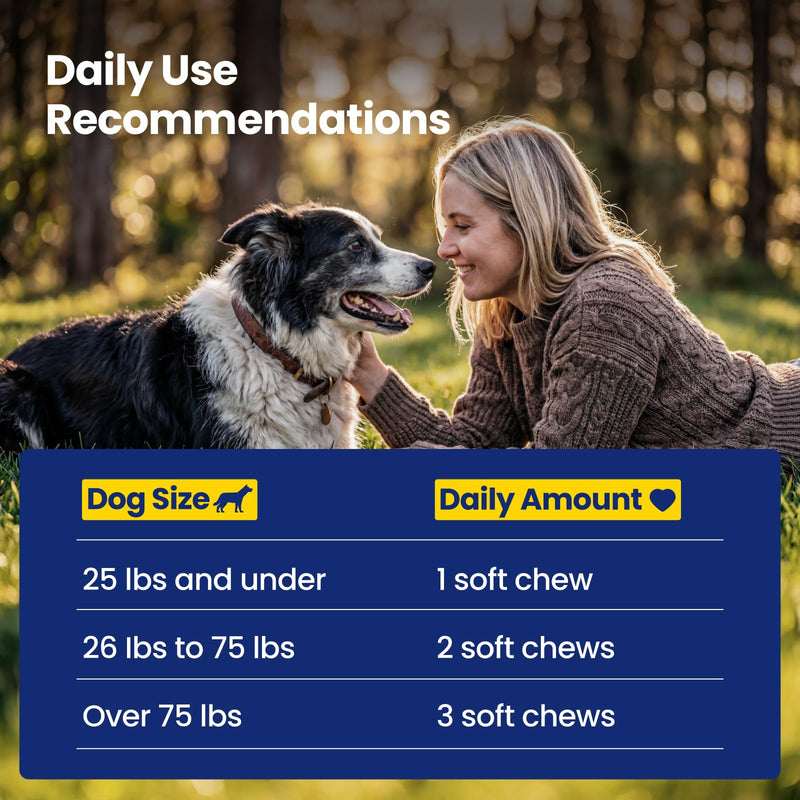 NAD+ Precursor & Senior Dog Supplement - 90 Soft Chews - NMN Alternative for Longevity & Healthy Aging - Nicotinamide Riboside, Resveratrol, Quercetin, Made with Pasture-Raised Chicken Peanut Butter & Chicken