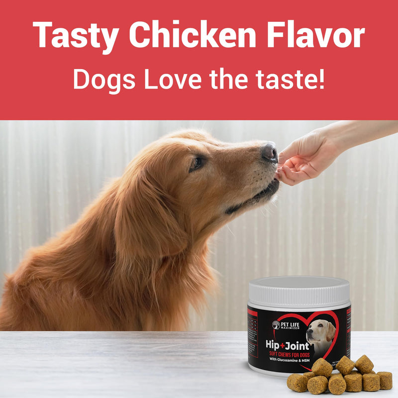 3-in-1 Joint Supplement for Dogs - with Glucosamine, MSM & Green Lipped Mussel - Daily Mobility Support for Small, Medium, Large, and Senior Breeds - Chicken Flavor - 60 Soft Chews