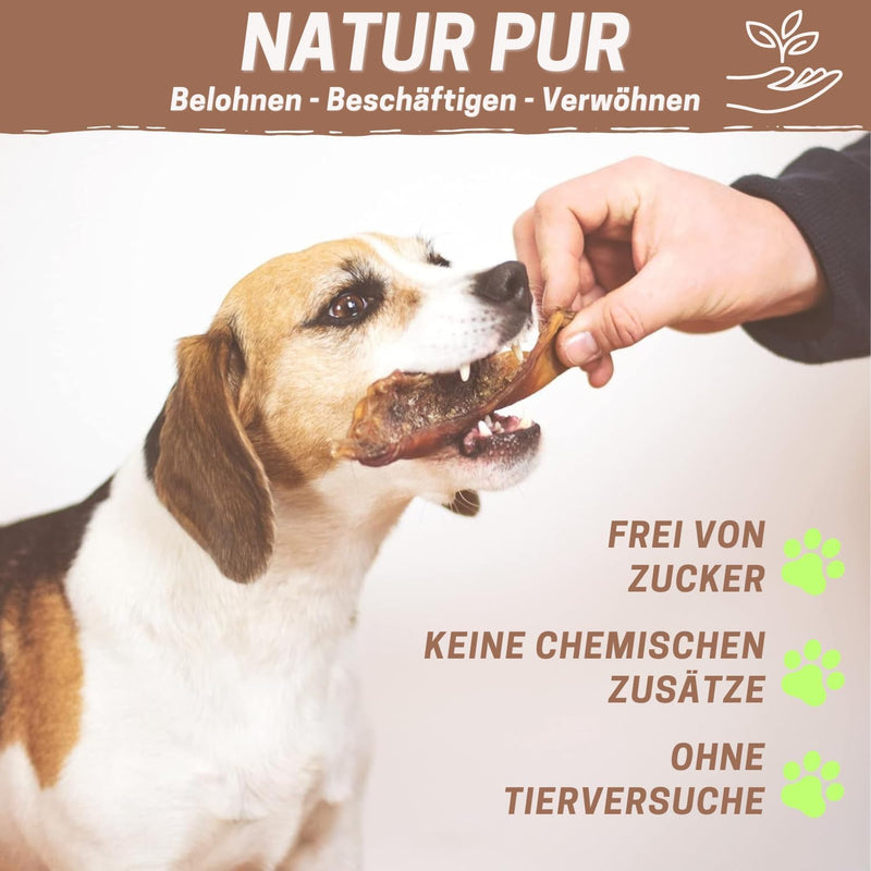 Beef scalp 1000g the premium chew snack for dogs from PrideDogs | 20cm/piece | 100% German made beef | Dental care beef scalp 20 cm 1 kg (pack of 1) - BeesActive Australia