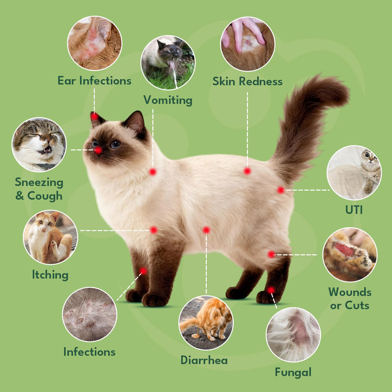YOTANGO Natural Antibiotics for Cats, Cat Antibiotics for UTI & Itch Support, Immune, Digestive, Allergy, Skin & Coat Support for Cats and Kittens, for All Ages & Breeds (Chicken Flavor-60ml 2 Pack) 2 PCS