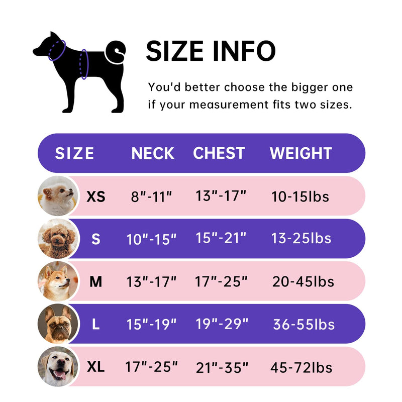 IVY&LANE No Pull Dog Harness for Medium Dogs, Dog Vest Harness with Leash, Safety Belt and Storage Strap, Fully Adjustable Harness, 360° Reflective Strip, Soft Handle (Purple, M) Purple - BeesActive Australia