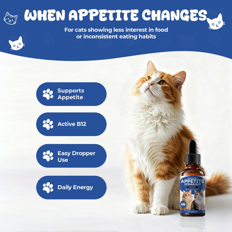 Appetite Stimulant Drops for Cats – Vitamin B12 Liquid with Methylcobalamin, Supports Appetite, Energy & Metabolism, Helps Picky or Low-Energy Cats Eat & Thrive, 2 fl oz