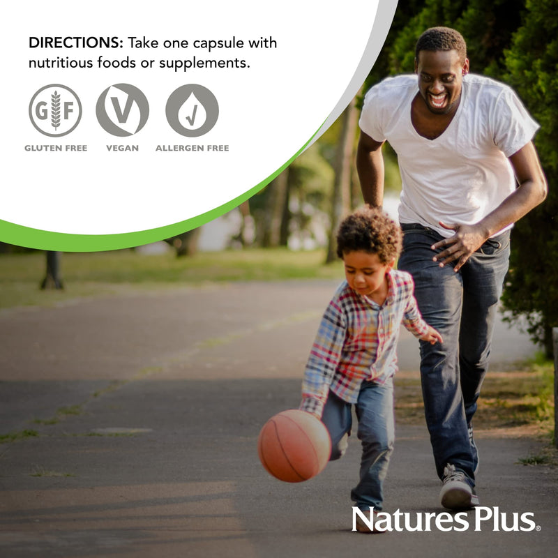 NaturesPlus Bioperine 10 - Black Pepper Extract - 90 Capsules - Supports Healthy Nutrient Absorption - Vegan, Gluten Free - 90 Servings