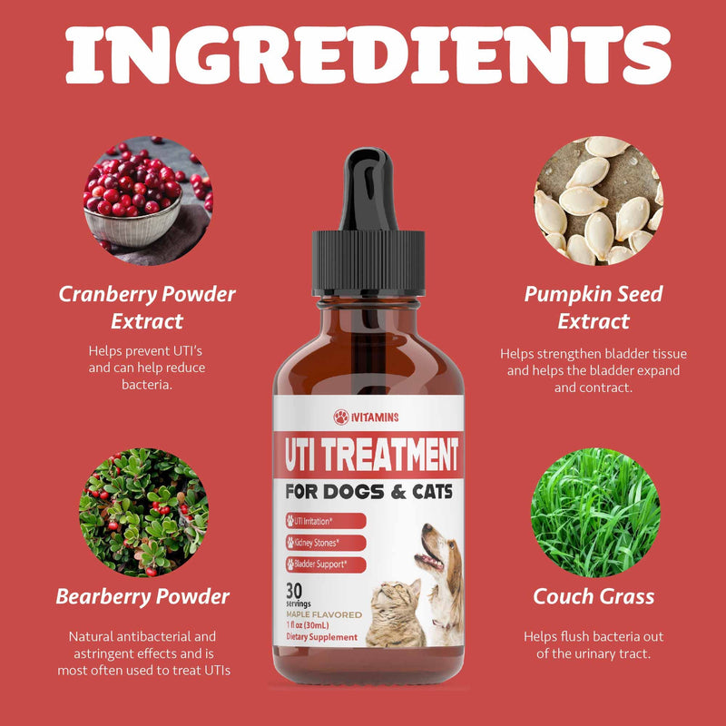 Dog UTI Treatment | Cat UTI Medicine | Cat UTI Remedy | Cranberry Supplement for Dogs | Pumpkin for Cats | Dog UTI | Cat UTI | Cranberry for Dogs | Cat Urinary Tract Infection Treatment | 1 fl oz - PawsPlanet Australia