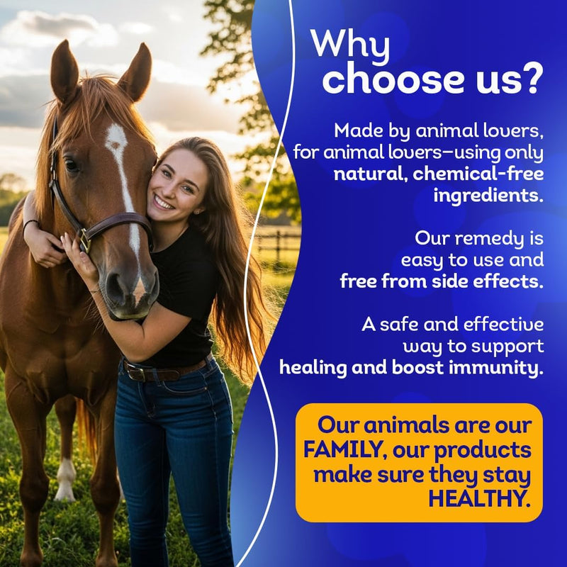 All-Natural Horse Arthritis Support - Helps Prevent Stiffness, Joint Pain & Lameness - Joint Supplements for Horses - Homeopathic & Highly Effective - 300 Tablets - BeesActive Australia