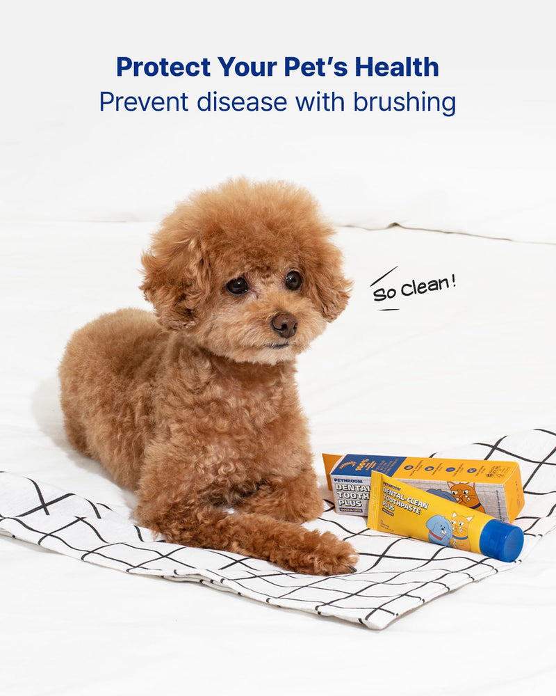 PETHROOM Pet Dental Clean Toothpaste Plus for Dogs & Cats – Pet Friendly Flavor, Enzymatic Toothpaste for Fresh Breath & Plaque Control, Gentle Daily Dental Care, Net Wt 2.1 oz Original
