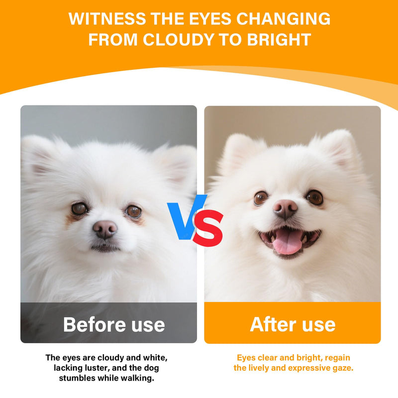 Eye Supplements for Dogs - Vision Support Soft Chews with Lutein, DHA & Vitamin C | 120ct Salmon Flavor Tear Stain Chews | Cataract & Dry Eye Relief Supplement (120 Ct, Salmon) 120 Ct