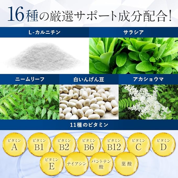 Nishicare GOLD Ellagic acid Visceral fat Body fat Weight Waist circumference Blood neutral fat Food with functional claims Diet support supplement African mango tree 30 days Carnitine Salacia - BeesActive Australia