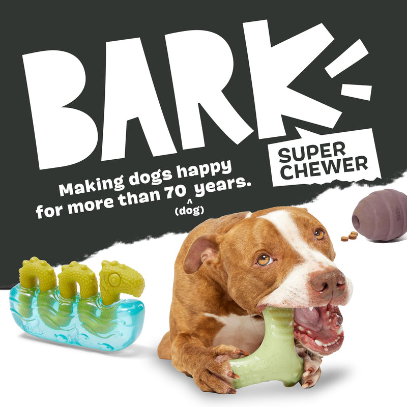 Barkbox Super Chewer Tough Dog Chew Toys for Aggressive Chewers, Dental Stimulating (Turkey - Large) Turkey Day Drumstick - Large - BeesActive Australia