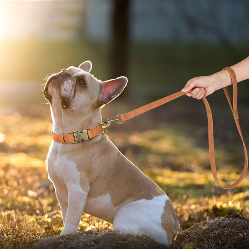 Didog Leather Dog Leash, Colorful Heavy Duty Dog Leash 4ft, Strong and Durable Leather Leash, Walking and Training Dog Leashes for Small Medium Dogs,Light Brown Light Brown - BeesActive Australia