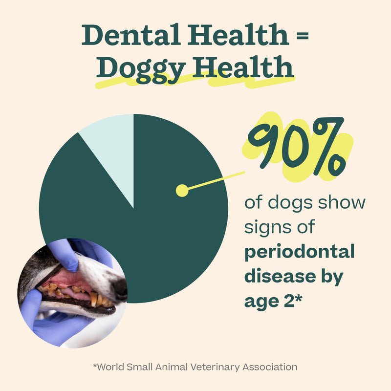 Woof Doggy Dental Pupsicle Mix - Dog Teeth Cleaning Powder for the Pupsicle - Long Lasting Postbiotic Dental Enzyme Mix to Support Oral Health for Dogs Dental Mix