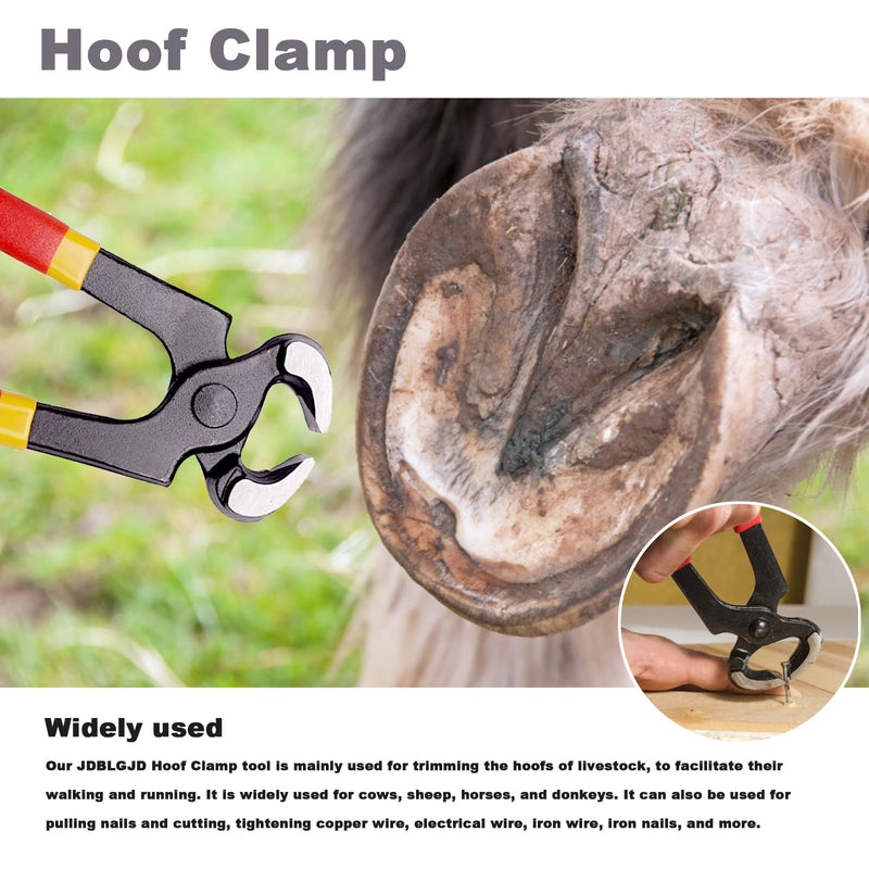 Farrier Tools,8 inch Farrier Tool Kits （7 Piece） Goat Hoof Trimmers Mini Rasp Hoof File Goat Pig Equine Metal Shears Professional Farriers Hoof Nipper Cutter Handle Knife Goat Supplies - BeesActive Australia