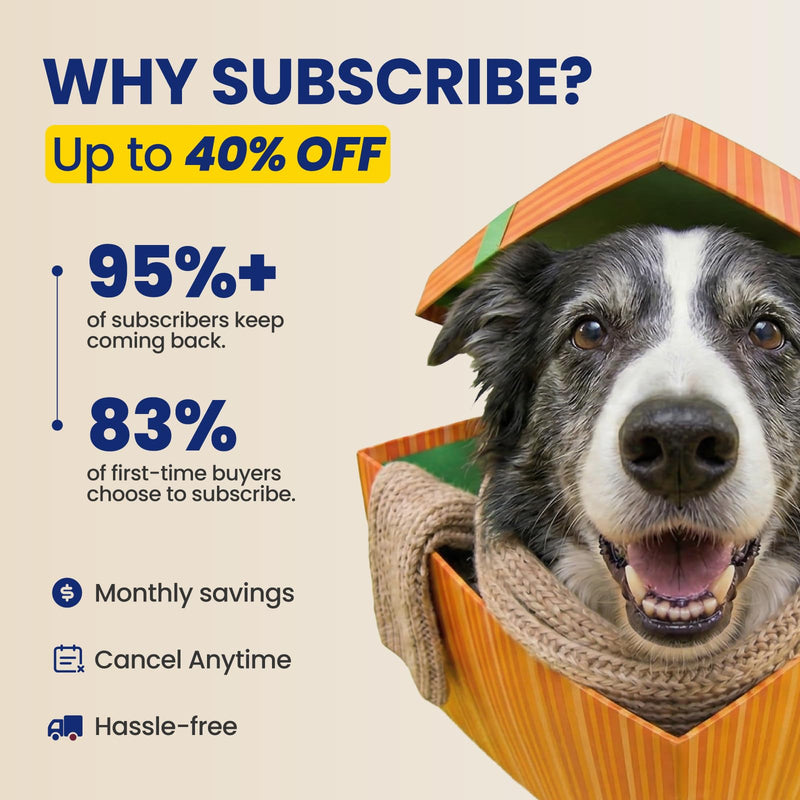 NAD+ Precursor & Senior Dog Supplement - 90 Soft Chews - NMN Alternative for Longevity & Healthy Aging - Nicotinamide Riboside, Resveratrol, Quercetin, Made with Pasture-Raised Chicken Peanut Butter & Chicken